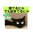 友達との会話用にゃ1月（個別スタンプ：33）