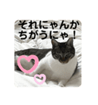 友達との会話用にゃ1月（個別スタンプ：34）