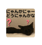 友達との会話用にゃ1月（個別スタンプ：35）