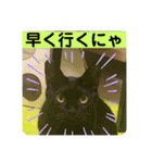 友達との会話用にゃ1月（個別スタンプ：36）