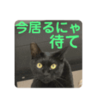 友達との会話用にゃ1月（個別スタンプ：38）