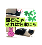 友達との会話用にゃ1月（個別スタンプ：39）