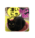 友達との会話用にゃ1月（個別スタンプ：40）