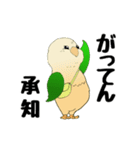 インコのスタンプ《イラスト》（個別スタンプ：17）