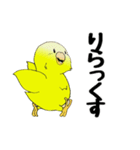 インコのスタンプ《イラスト》（個別スタンプ：34）