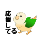 インコのスタンプ《イラスト》（個別スタンプ：35）