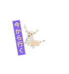 Nsトナカイ選手権（個別スタンプ：5）