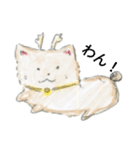 Nsトナカイ選手権（個別スタンプ：11）