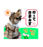 ともちん_20220104103746（個別スタンプ：16）