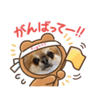 ともちん_20220104103746（個別スタンプ：21）