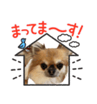 ともちん_20220104103746（個別スタンプ：23）