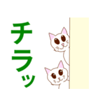 シンプルな猫♪タメ語♪（個別スタンプ：6）