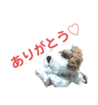 きゅんまる100%vol.3（個別スタンプ：13）