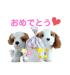 きゅんまる100%vol.3（個別スタンプ：17）