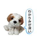 きゅんまる100%vol.3（個別スタンプ：21）