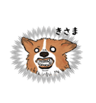 コーギー犬はなちゃん ☆くせ強＆日常（個別スタンプ：1）