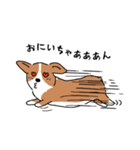 コーギー犬はなちゃん ☆くせ強＆日常（個別スタンプ：3）