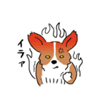 コーギー犬はなちゃん ☆くせ強＆日常（個別スタンプ：5）