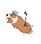 コーギー犬はなちゃん ☆くせ強＆日常（個別スタンプ：7）
