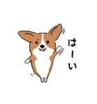 コーギー犬はなちゃん ☆くせ強＆日常（個別スタンプ：10）