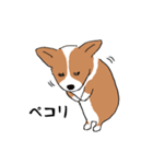 コーギー犬はなちゃん ☆くせ強＆日常（個別スタンプ：12）