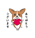 コーギー犬はなちゃん ☆くせ強＆日常（個別スタンプ：13）