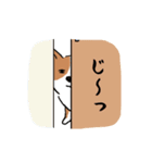コーギー犬はなちゃん ☆くせ強＆日常（個別スタンプ：14）