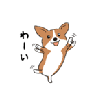 コーギー犬はなちゃん ☆くせ強＆日常（個別スタンプ：16）