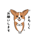 コーギー犬はなちゃん ☆くせ強＆日常（個別スタンプ：18）
