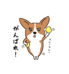 コーギー犬はなちゃん ☆くせ強＆日常（個別スタンプ：19）