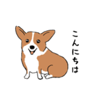 コーギー犬はなちゃん ☆くせ強＆日常（個別スタンプ：22）