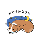 コーギー犬はなちゃん ☆くせ強＆日常（個別スタンプ：23）