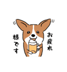 コーギー犬はなちゃん ☆くせ強＆日常（個別スタンプ：24）