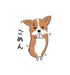 コーギー犬はなちゃん ☆くせ強＆日常（個別スタンプ：25）