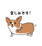 コーギー犬はなちゃん ☆くせ強＆日常（個別スタンプ：28）