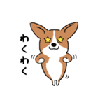 コーギー犬はなちゃん ☆くせ強＆日常（個別スタンプ：29）