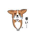 コーギー犬はなちゃん ☆くせ強＆日常（個別スタンプ：32）