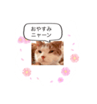 私の猫村（個別スタンプ：2）