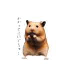 おこげとささみとしじみちゃん○時々おはぎ（個別スタンプ：11）