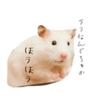おこげとささみとしじみちゃん○時々おはぎ（個別スタンプ：23）