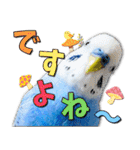 セキセイインコのサクちゃん2（個別スタンプ：3）