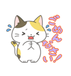 ほっこり猫【たかこねこ】（個別スタンプ：19）