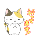 ほっこり猫【たかこねこ】（個別スタンプ：20）