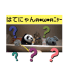 もか日常にゃん③（個別スタンプ：6）