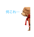 くまみのLINEスタンプ（個別スタンプ：8）