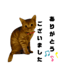 仕事用⑨（個別スタンプ：3）