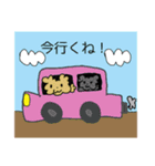 わんにゃんずスタンプ（個別スタンプ：10）