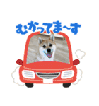 せっしょう丸スタンプ2（個別スタンプ：32）