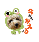 ちゃこのスタンプ〜挨拶編〜（個別スタンプ：3）