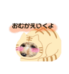 ちゃこのスタンプ〜挨拶編〜（個別スタンプ：5）